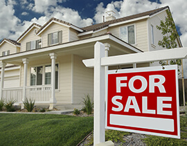 Plot Sales